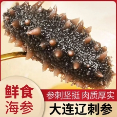 即食海参鲜食大连刺参辽参非淡干海参一斤8~10只